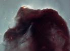 Rising from a sea of dust and gas like a giant seahorse, the Horsehead nebula is one of the most photographed objects in the sky. NASA's Hubble Space Telescope took a close-up look at this heavenly icon, revealing the cloud's intricate structure.