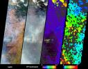 Numerous fires occurred near the headwaters of the Xingu River and the Xingu Indigenous Peoples' Reserve in Mato Grosso, Brazil, during late June and early July, 2004, as seen by NASA's Terra spacecraft.