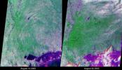 These views of the Louisiana and Mississippi regions were acquired before and one day after Katrina made landfall along the Gulf of Mexico coast. The images were acquired by NASA's Terra spacecraft on August 14 and August 30, 2005.