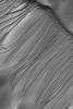 NASA's Mars Global Surveyor shows the mysterious dune gullies of Russell Crater on Mars. The terrain shown here is one very large sand dune.