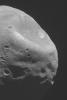 NASA's Mars Global Surveyor shows the large crater, Stickney, on Mars' moon, Phobos. Grooves, or troughs, radiate outward.