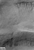 NASA's Mars Global Surveyor shows gullies in the upper crater wall and emergent from the slope of a lower terrace on Mars.