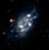 This ultraviolet color image of the galaxy UGC10445 was taken by NASA's Galaxy Evolution Explorer on June 7 and June 14, 2003. UGC10445 is a spiral galaxy located 40 million light-years from Earth.