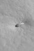 NASA's Mars Global Surveyor shows a small, dust-covered volcano on the plains east of Pavonis Mons on Mars. The floor of the caldera (elliptical depression at the summit of the volcano) has a few windblown ripples on it. 