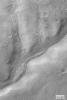 NASA's Mars Global Surveyor shows Warrego Valles, a suite of branching valleys located in the martian southern hemisphere.