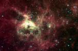 NASA's Spitzer Space Telescope, formerly known as the Space Infrared Telescope Facility, has captured in stunning detail the spidery filaments and newborn stars of theTarantula Nebula, a rich star-forming region also known as 30 Doradus.
