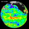 NASA's U.S./France Jason altimetric satellite during a 10-day cycle ending November 15, 2004 showed that the central equatorial Pacific continued to exhibit an area of higher-than-normal sea surface heights.
