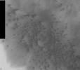 This image, part of an images as art series from NASA's 2001 Mars Odyssey released on Feb 17, 2004 shows the martian suface strongly resembling a flock of birds flying to the west.
