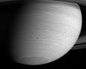 This image captured by NASA's Cassini spacecraft shows several dark storms confined to a region below 30 degrees south latitude in Saturn's atmosphere.