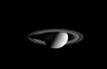 Saturn wears a halo of four moons in this wide angle camera image taken by NASA's Cassini spacecraft on August 18, 2004.