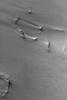 NASA's Mars Global Surveyor shows evidence of wind deposition of fine sediment in the form of drifts in the lee of obstacles in the martian south polar region.