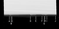 Images taken of Saturn's rings by NASA's Cassini spacecraft immediately after it entered orbit around Saturn have turned up circumstantial evidence that an unseen moon may be orbiting dead center in the narrow Keeler gap in Saturn's outer A ring.