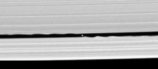 Confirmation that a small moon orbits within the Keeler gap in Saturn's rings is made all the more exciting by this image captured by NASA's Cassini spacecraft, in which the disk of the 7 kilometer-wide body is resolved for the first time.