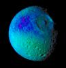 This false color image of Saturn's moon Mimas from NASA's Cassini spacecraft reveals variation in either the composition or texture across its surface.