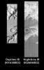 This pair of images released on June 18, 2004 from NASA's 2001 Mars Odyssey shows a comparison of daytime and nighttime of part of Ius Chasma on Mars.