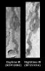 This pair of images released on June 22, 2004 by NASA's 2001 Mars Odyssey shows part of Arsia Mons on Mars during the daytime (left) and at nighttime (right).