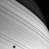 This image from NASA's Cassini spacecraft shows a dramatic portrait painted by the Sun, the long thin shadows of Saturn's rings sweep across the planet's northern latitudes.