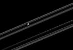 Saturn's small, irregularly-shaped moon Epimetheus orbits against the backdrop of the planet's rings, which are nearly edge-on in this view. The image was taken in visible light with NASA's Cassini spacecraft's narrow-angle camera on Feb. 18, 2005.