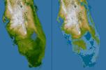 The very low topography of southern Florida is evident in this color-coded shaded relief map generated with data from NASA's Shuttle Radar Topography Mission.