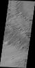 This image released on July 15, 2004 from NASA's 2001 Mars Odyssey shows windstreaks are features caused by the interaction of wind and topographic landforms such as yardangs, the remains of the rim and ejecta of the large impact crater on Mars.