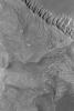 NASA's Mars Global Surveyor shows layered, sedimentary rock outcrops in southwestern Melas Chasma, one of the troughs of the vast Valles Marineris system on Mars.