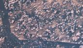 NASA's Mars Exploration Rover Opportunity examined a type of rougher-textured, lighter-colored round pebbles related to the smoother, darker spherules nicknamed 'blueberries' inside 'Endurance Crater' on Mars.