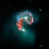This false-color image from NASA's Spitzer Space Telescope reveals hidden populations of newborn stars at the heart of the colliding 'Antennae' galaxies. These two galaxies are known individually as NGC 4038 and 4039.