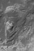 NASA's Mars Global Surveyor shows light-toned, layered rock outcrops in a pitted and eroded region just northeast of Hellas Planitia on Mars. The light-toned materials are most likely sedimentary rocks deposited early in martian history.