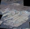 This false-color image taken by NASA's Mars Exploration Rover Opportunity shows a rock dubbed 'Escher' on the southwestern slopes of 'Endurance Crater' on Mars.