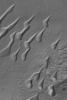 NASA's Mars Global Surveyor shows a field of sand dunes in a crater in Noachis Terra on Mars. Patches of autumn frost, possibly water ice, are evident.