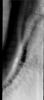 This image released on Oct 25, 2004 from NASA's 2001 Mars Odyssey shows the Martian north polar cap. Streamers of dust moving downslope over the darker trough sides showing the laminar flow regime coming off the cap. 