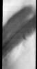 This image released on Oct 26, 2004 from NASA's 2001 Mars Odyssey shows the Martian north polar cap. Streamers of dust moving downslope over the darker trough sides showing the laminar flow regime coming off the cap. 