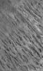 NASA's Mars Global Surveyor shows a group of semi-parallel ridges, known as yardangs, etched by wind into layered sedimentary rock on the floor of an unnamed crater in Terra Cimmeria on Mars.