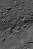 NASA's Mars Global Surveyor shows windblown sand dunes in Lohse Crater in Noachis Terra on Mars.
