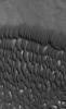 NASA's Mars Global Surveyor shows dark, windblown sand dunes in the north polar region of Mars in December 2004.