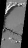 This image from NASA's Mars Odyssey spacecraft shows a barbed wire-like feature on the surface of Mars.