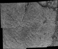 This picture from the microscopic imager on NASA's Mars Exploration Rover Opportunity is a mosaic of a target called 'Gagarin' on a rock referred to as 'Yuri.' A circle from which the tool's wire brush has scoured dust off the rock surface is evident.