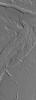 NASA's Mars Global Surveyor shows channels on the plains southeast of Olympus Mons on Mars.