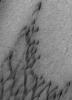 NASA's Mars Global Surveyor shows windblown sand dunes on the southeastern floor of Herschel Crater on Mars.