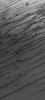 NASA's Mars Global Surveyor shows linear and barchan sand dunes in Chasma Boreale, a broad erosional trough in the martian north polar region.