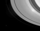 When NASA's Cassini gazes down at Saturn's rings with the Sun directly behind the spacecraft, an unusual phenomenon called the 'opposition effect' can be seen. The effect is visible here as a bright region, near right, toward the inner edge of the A ring.