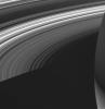 This view from NASA's Cassini spacecraft shows the unlit side of Saturn's splendid rings made visible by sunlight filtering through the rings from the lit side.