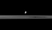The moon Enceladus seems to hover above the outer reaches of Saturn's B ring. This image was taken in visible light with NASA's Cassini spacecraft's narrow-angle camera on Sept. 15, 2005.