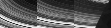 After much anticipation, NASA's Cassini spacecraft has finally spotted the elusive spokes in Saturn's rings. Spokes are the ghostly radial markings discovered in the rings by NASA's Voyager spacecraft 25 years ago.
