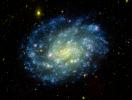 Young hot blue stars dominate the outer spiral arms of nearby galaxy NGC 300, while the older stars congregate in the nuclear regions which appear yellow-green in this image from NASA's Galaxy Evolution Explorer.