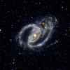 This ultraviolet image from NASA's Galaxy Evolution Explorer shows the interacting pair NGC 1097, a barred spiral galaxy, and the small elliptical companion galaxy NGC 1097A.