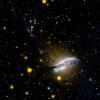 This ultraviolet image from NASA's Galaxy Evolution Explorer is of NGC 5128 (Centaurus-A). This unusual galaxy is believed to be the result of a collision of two normal galaxies.

