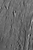 NASA's Mars Global Surveyor shows yardangs formed by wind erosion of materials exposed on the floor of western Tithonium Chasma, part of the Valles Marineris system on Mars.