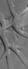 This NASA Mars Global Surveyor image shows a plain southeast of Hebrus Valles that is cut by a network of intersecting troughs. Large, windblown -- and perhaps wind-eroded -- ripples occur on the trough floors.