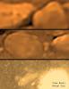 When printed on letter sized paper this poster shows the size of the 'rocks' on Titan's surface in their true size. This Huygens image was taken on Jan. 14, 2005. The Huygens probe was delivered to Saturn's moon Titan by NASA's Cassini spacecraft.